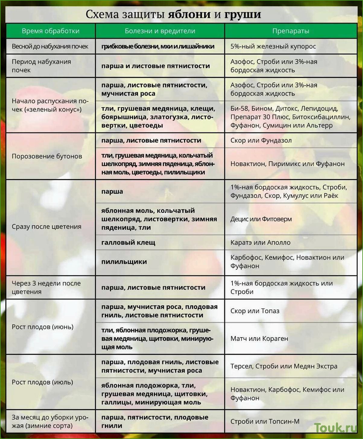 Как обработать яблони весной от вредителей и болезней: советы и рекомендации