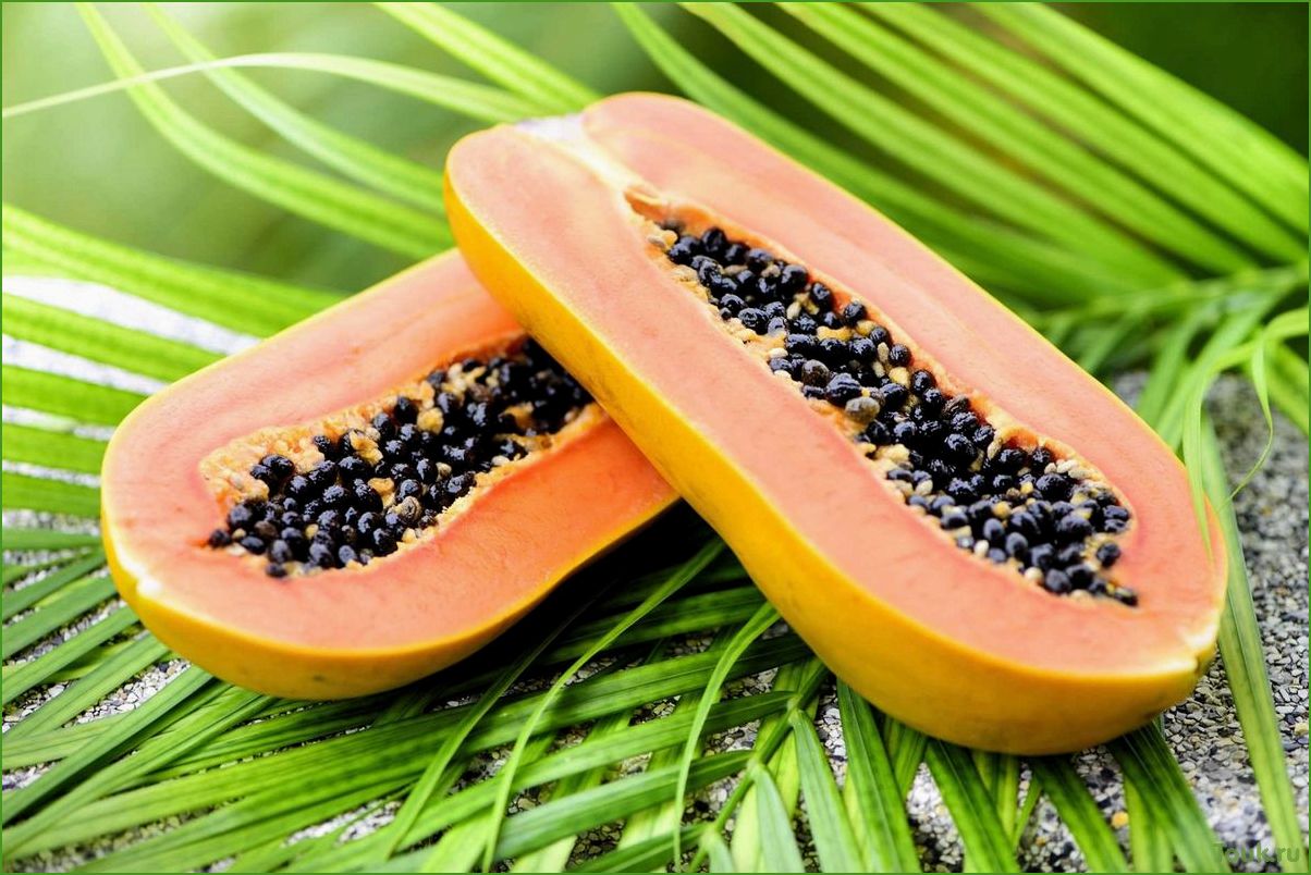 Полезные свойства и преимущества папайи для здоровья