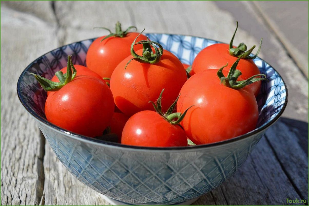 Все о помидорах: сорта, выращивание, уход и полезные свойства