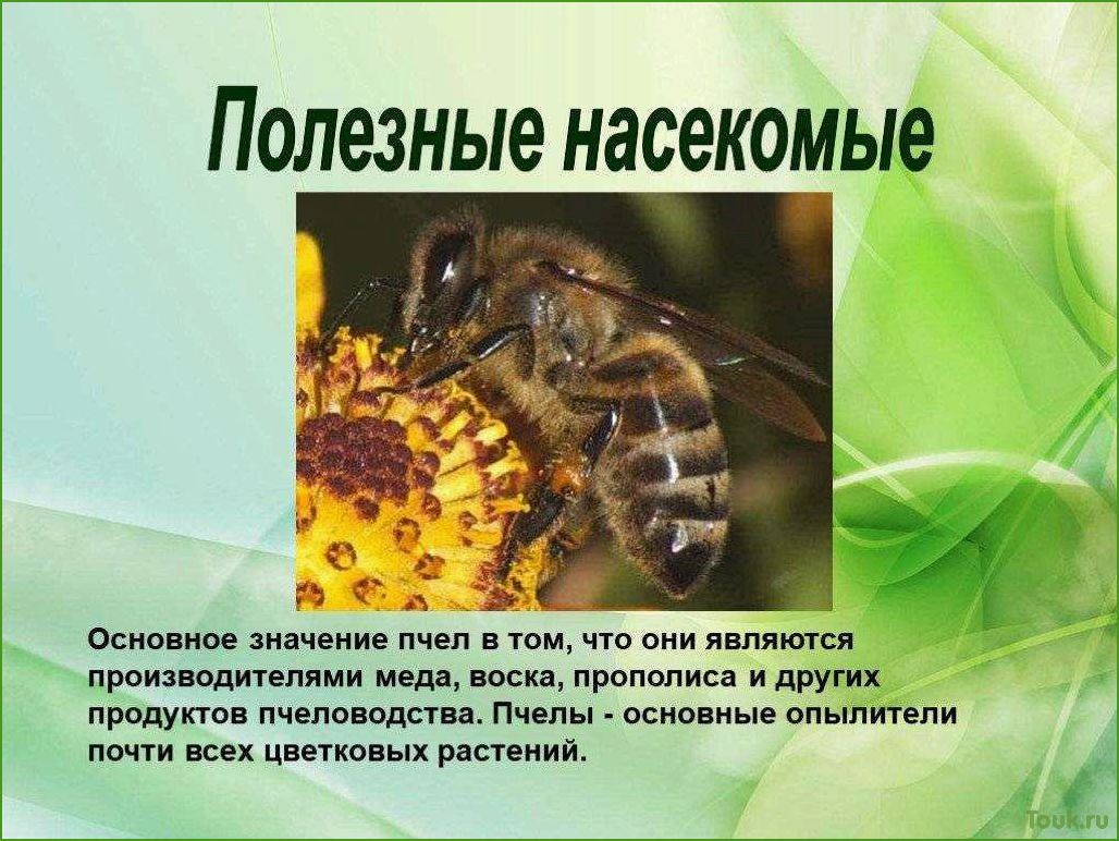 17 полезных насекомых для сада