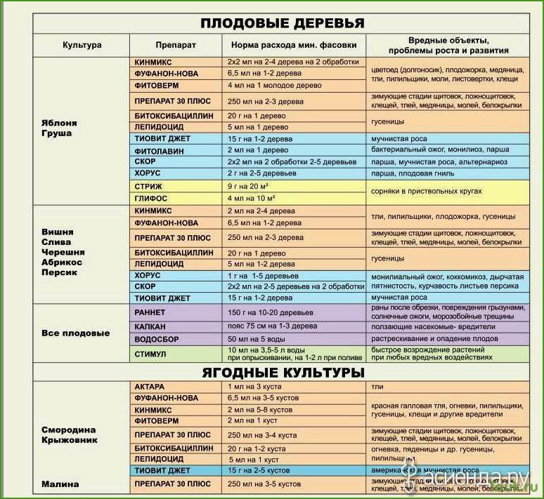 Как защитить сад от вредителей и болезней весенним опрыскиванием