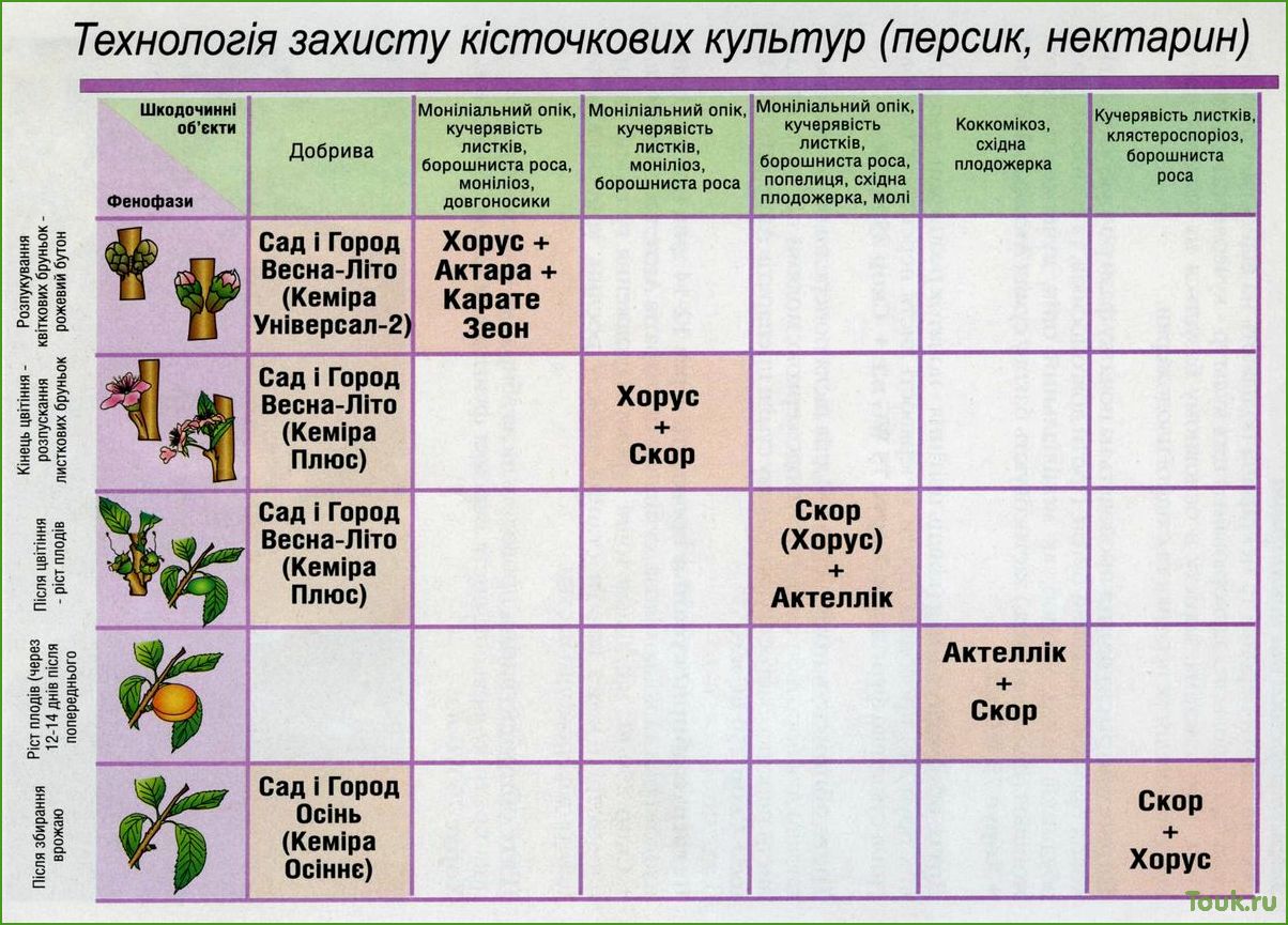 Как защитить сад от вредителей и болезней весенним опрыскиванием