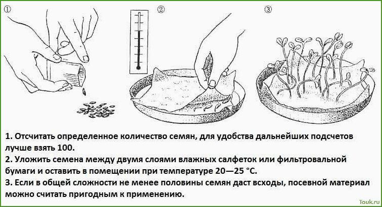 Подготовка семян перца к посеву на рассаду