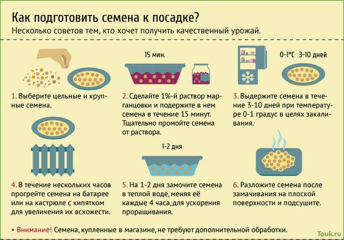 Как правильно подготовить семена к посадке