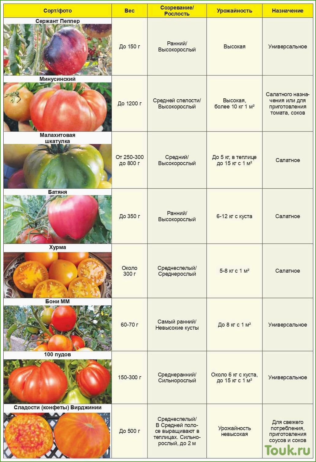 Список лучших сортов помидоров