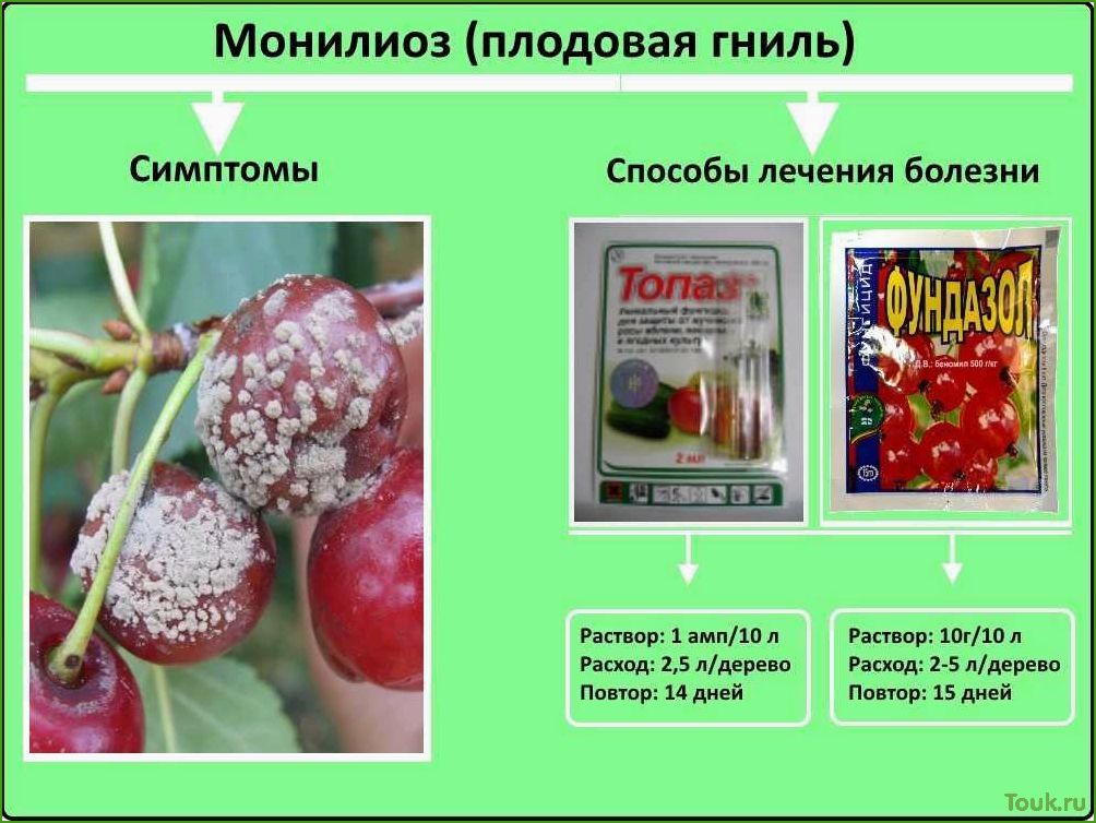 Монилиоз: причины, симптомы и методы лечения