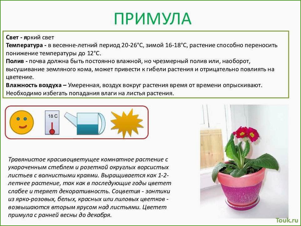 Оптимальная температура для комнатных растений